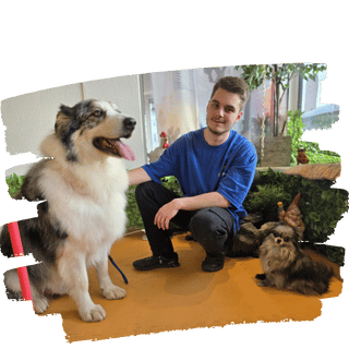 Chris Darling Dogs