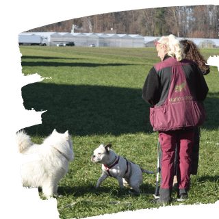 Training draußen
