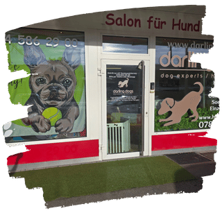 Darling Dogs Hundezentrum Standort