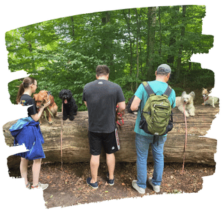 Kleine Gruppe beim Lernen
